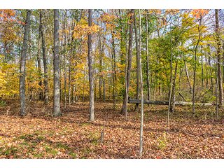 Property photo 18 - 23 Acre Mini FarmOffered in 3 Tractsor CombinationsFarm AuctionPersonal Property & Real Estate